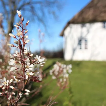 Reetdachhaus-poppenbuell Holiday home Poppenbull