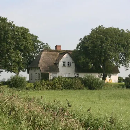 Reetdachhaus-poppenbuell * Poppenbull