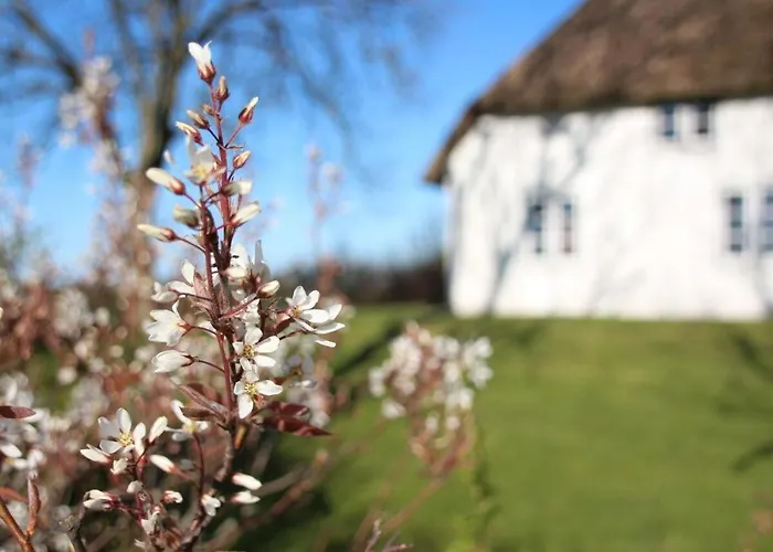 Reetdachhaus-poppenbuell Vakantiehuis Poppenbull