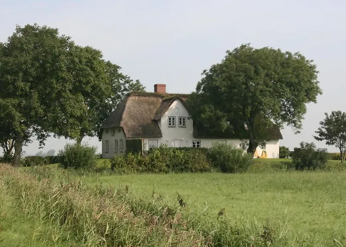 Reetdachhaus-poppenbuell * Poppenbull